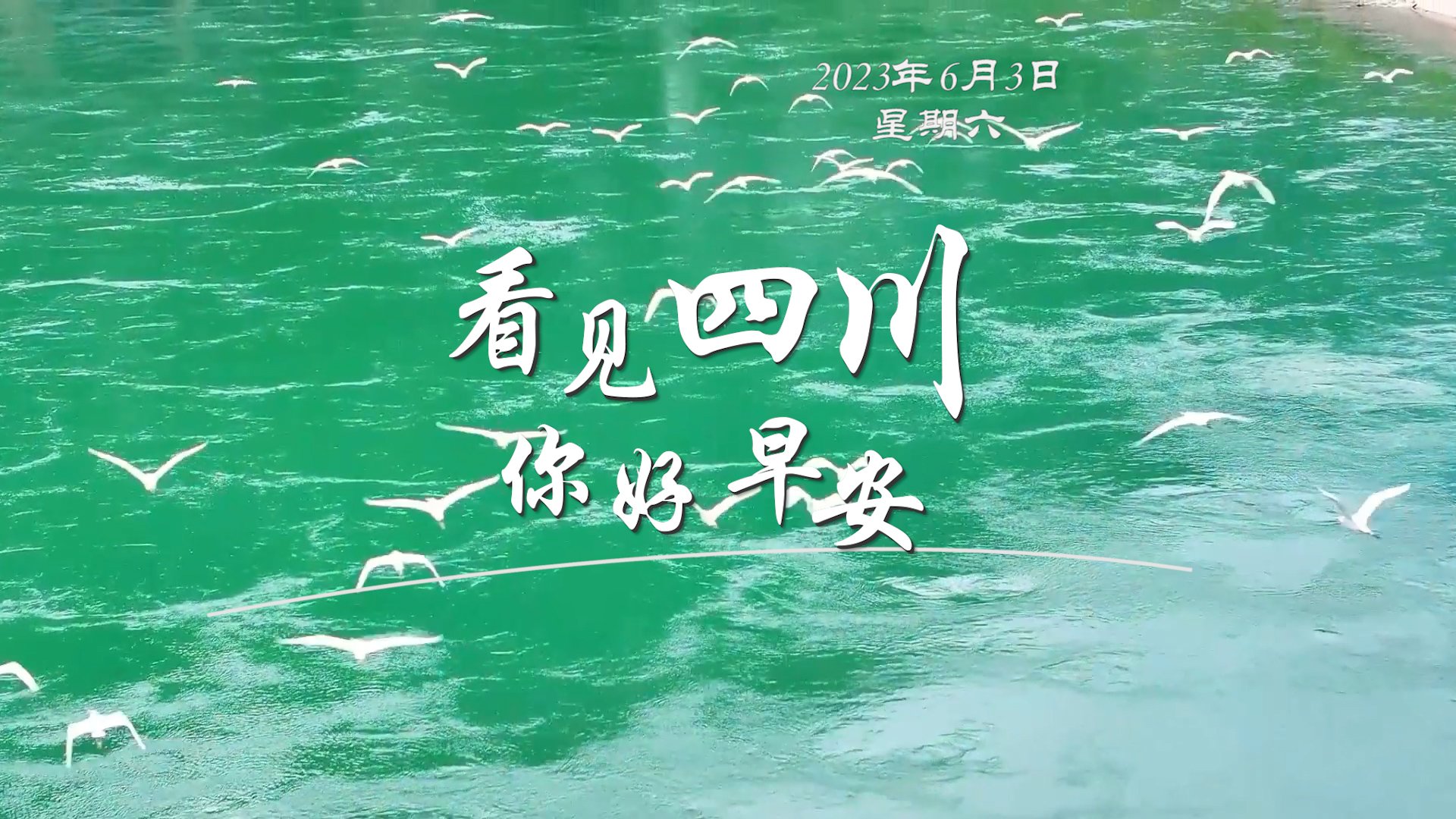 高大的泡桐树缀满钟形花冠
