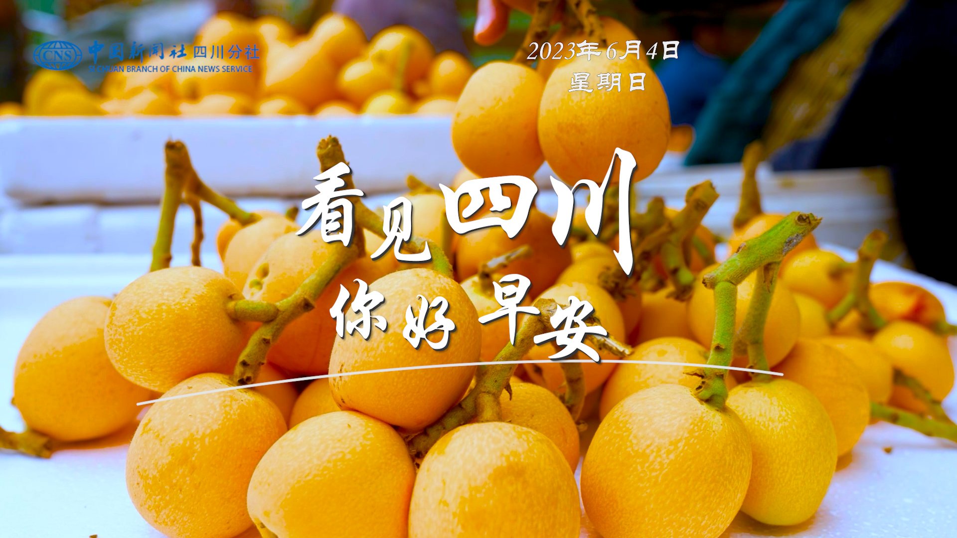 解说你看