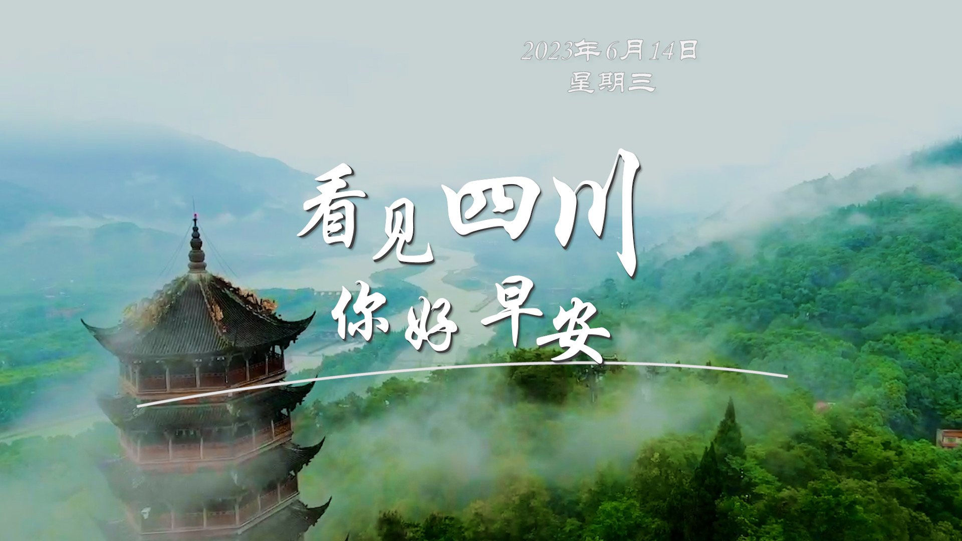 数十张火锅桌错落有致地摆放在花海中