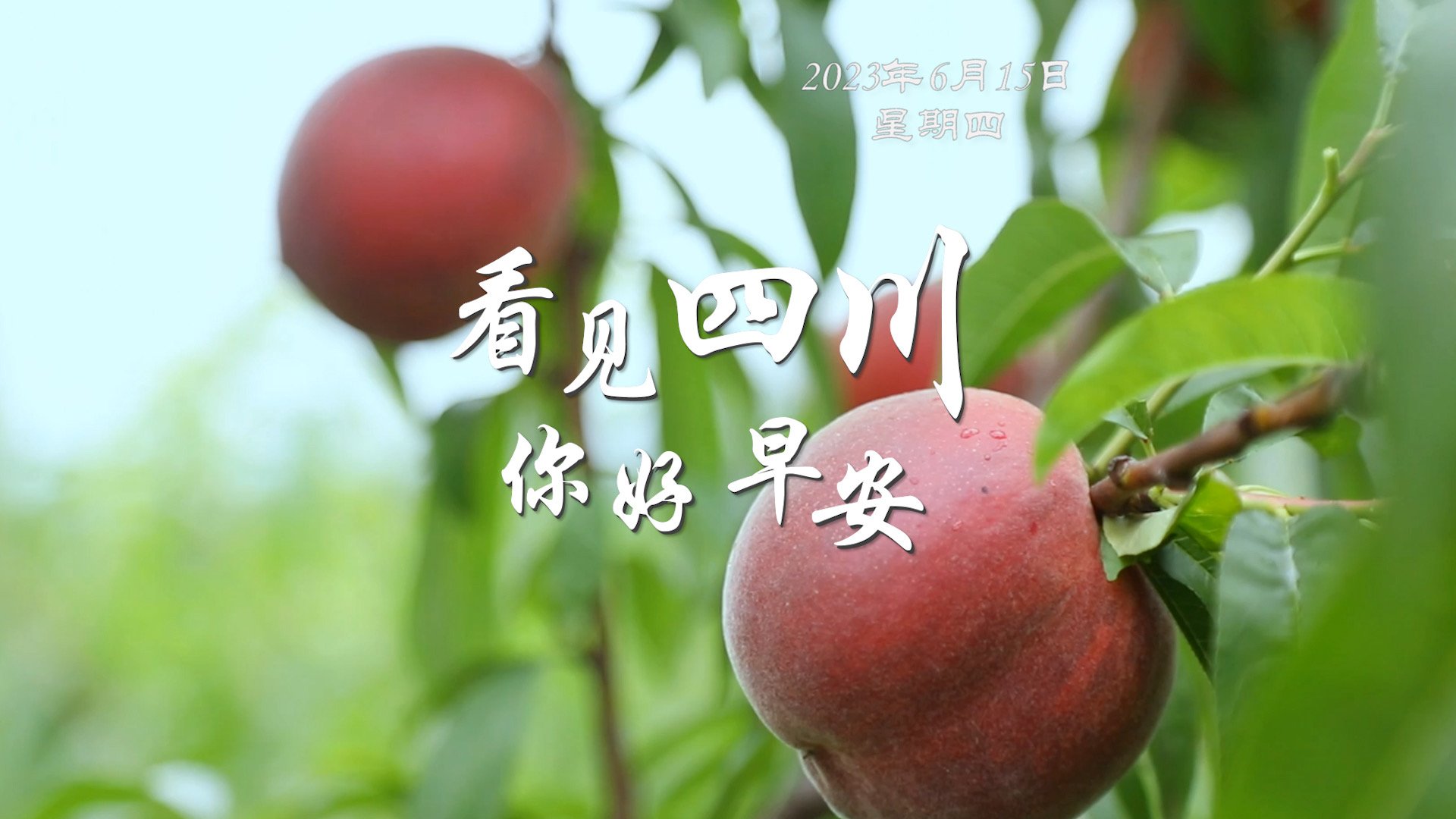 初春时节