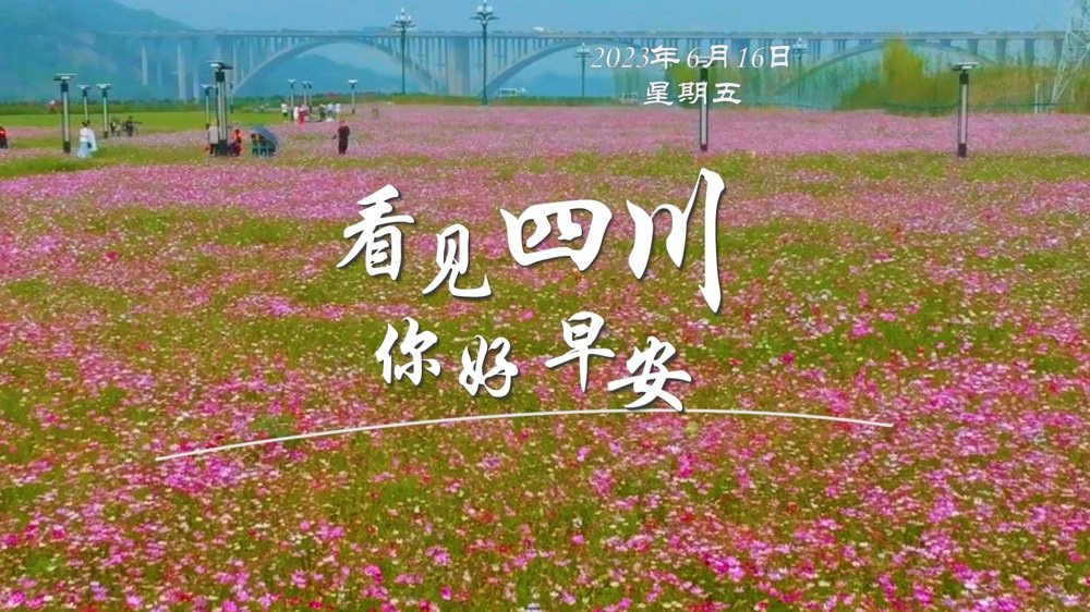 洁白的花朵缀满枝头