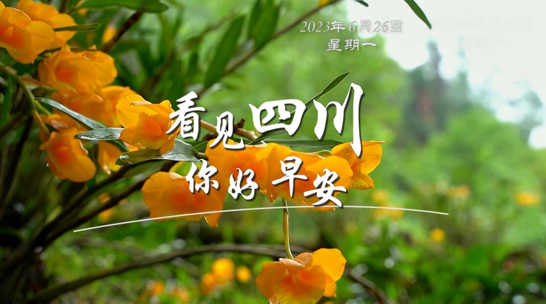 相关阅读看见盈盈彩app下载限时优惠