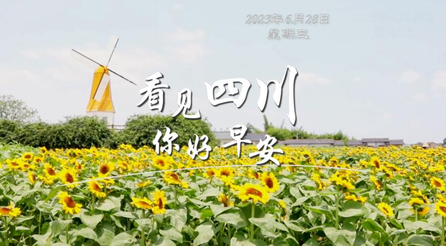 粉白花朵绽放在古寺院落