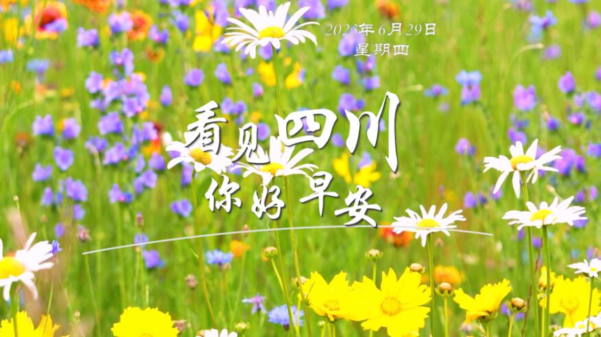 你好早安
