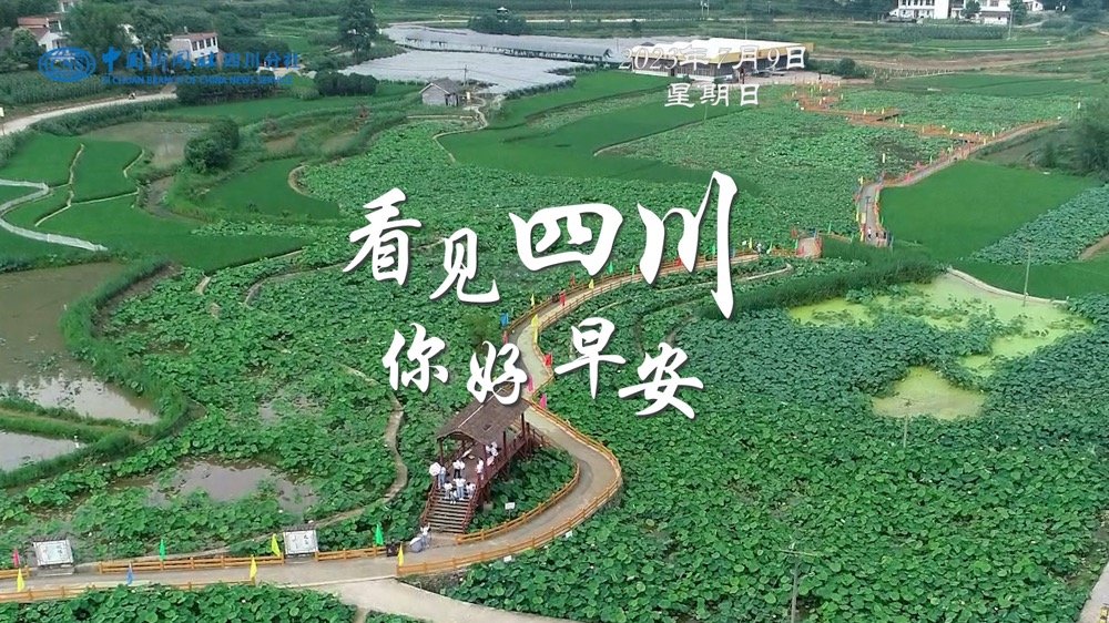 解说今天