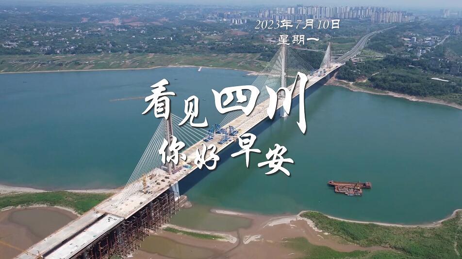 列车与盛放的油菜花构成一幅灵动的春日