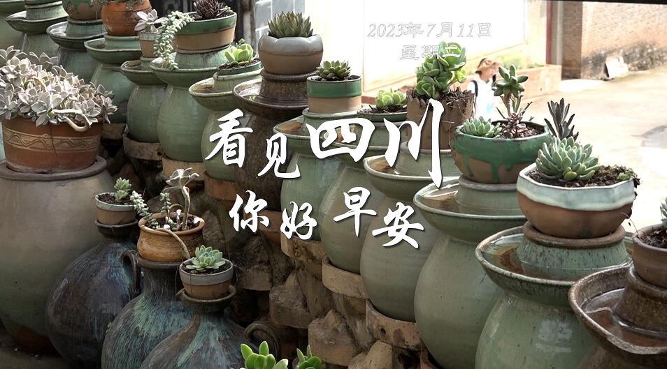 满足游客赏灯游玩的需求
