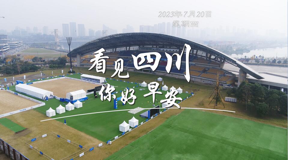 解说平武报恩寺百年玉兰迎来盛花期
