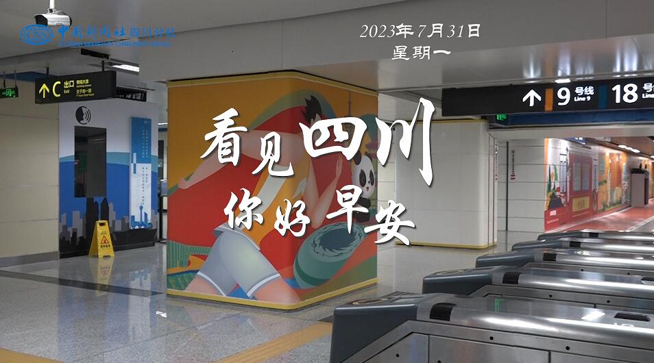 洁白的花朵缀满枝头