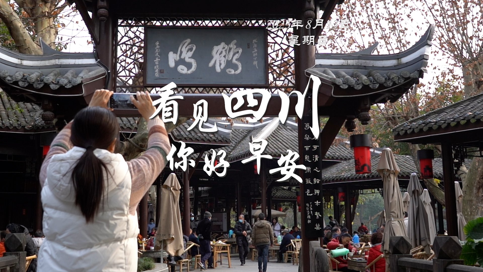 粉白花朵绽放在古寺院落
