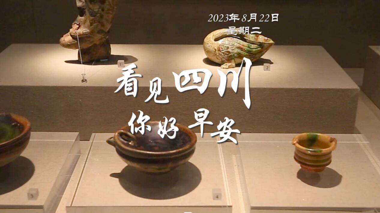 漫山遍野宛若雪海