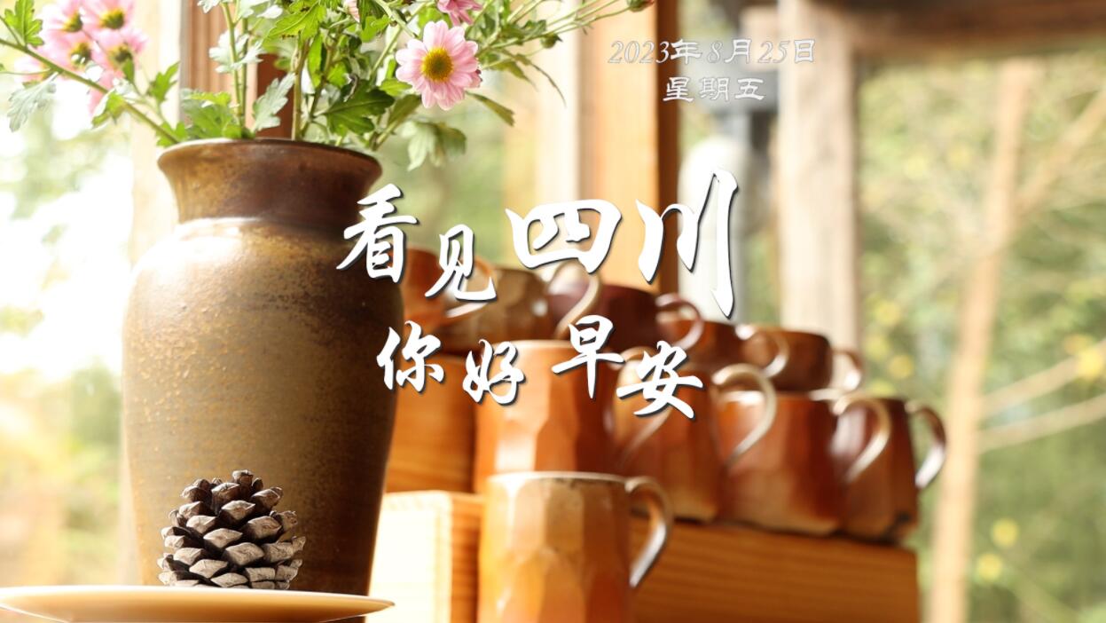解说今天