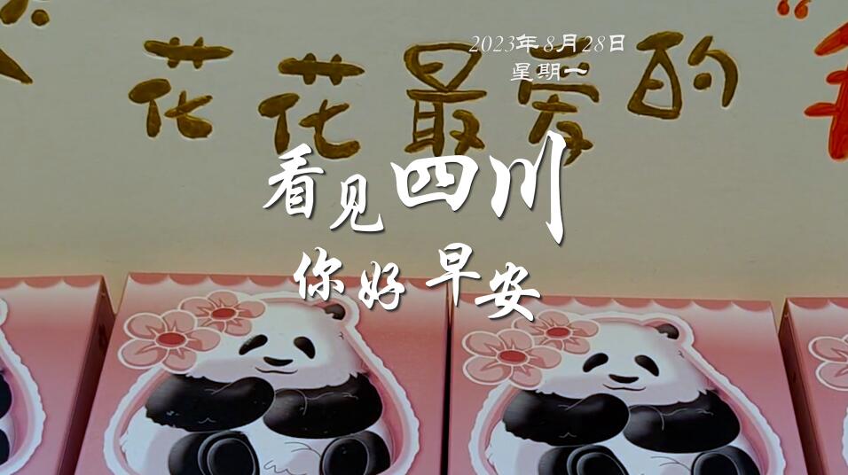 满足游客赏灯游玩的需求