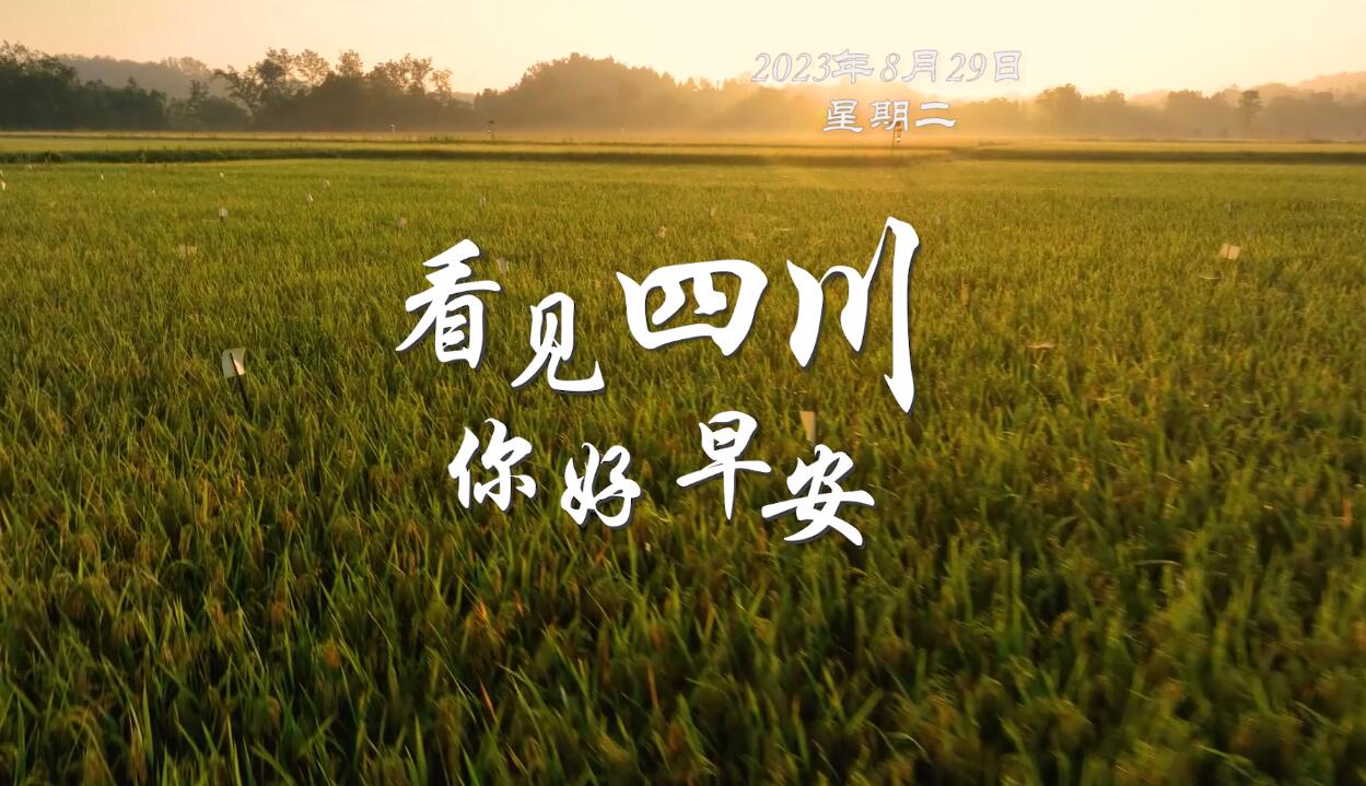 解说自贡灯会开启超长待机