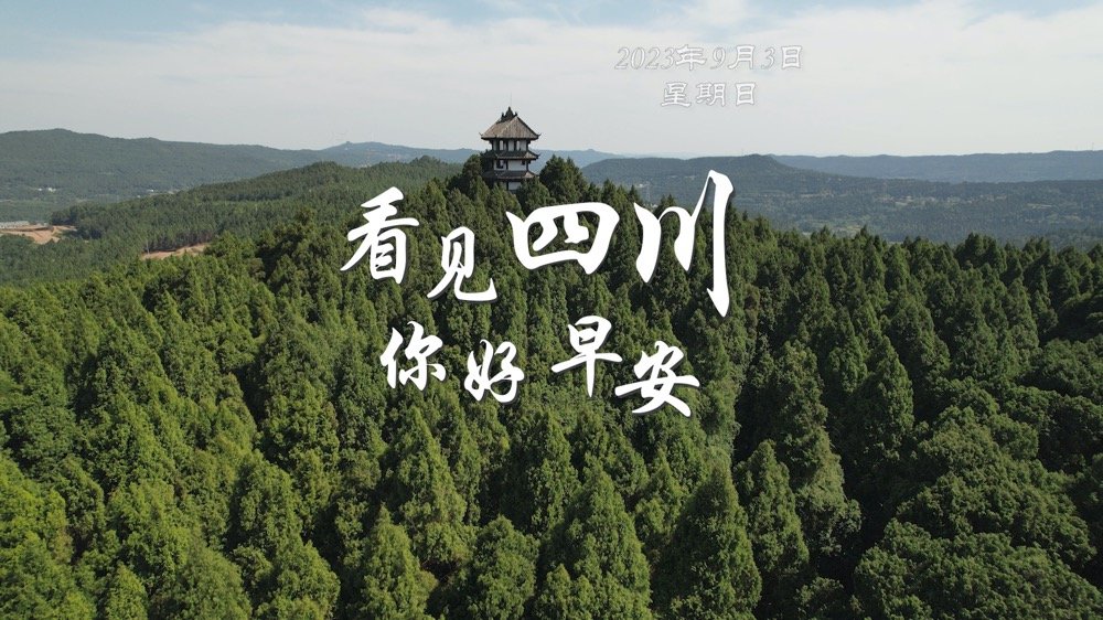 高大的泡桐树缀满钟形花冠