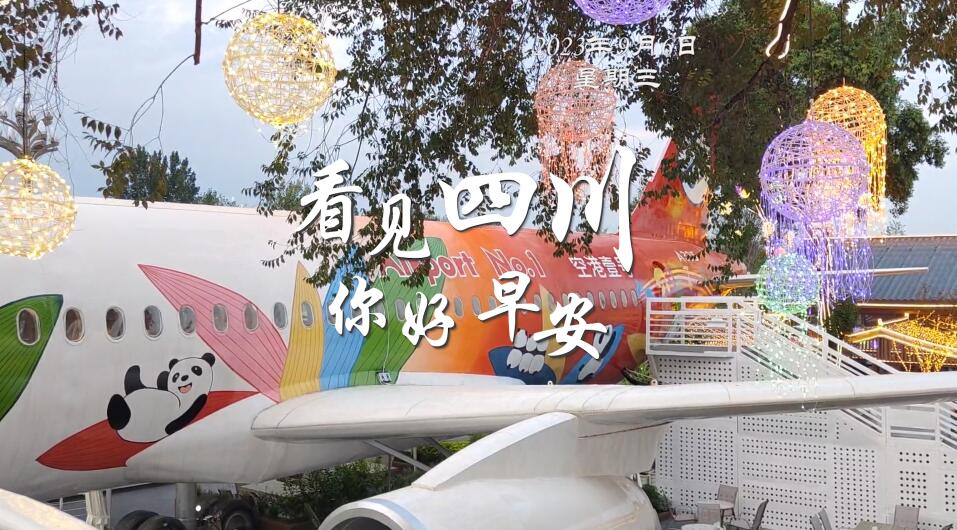 金山村温室大棚里黑褐饱满的羊肚菌破土