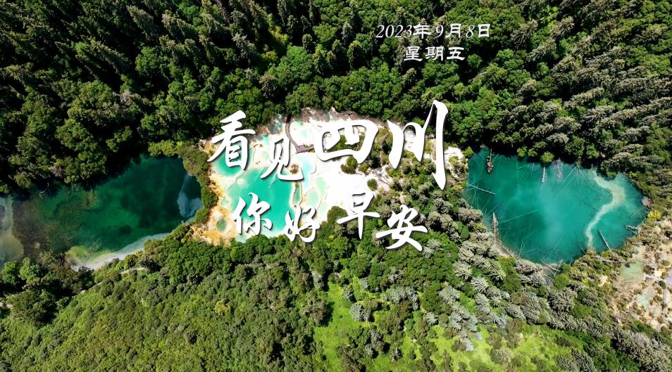 解说平武报恩寺百年玉兰迎来盛花期
