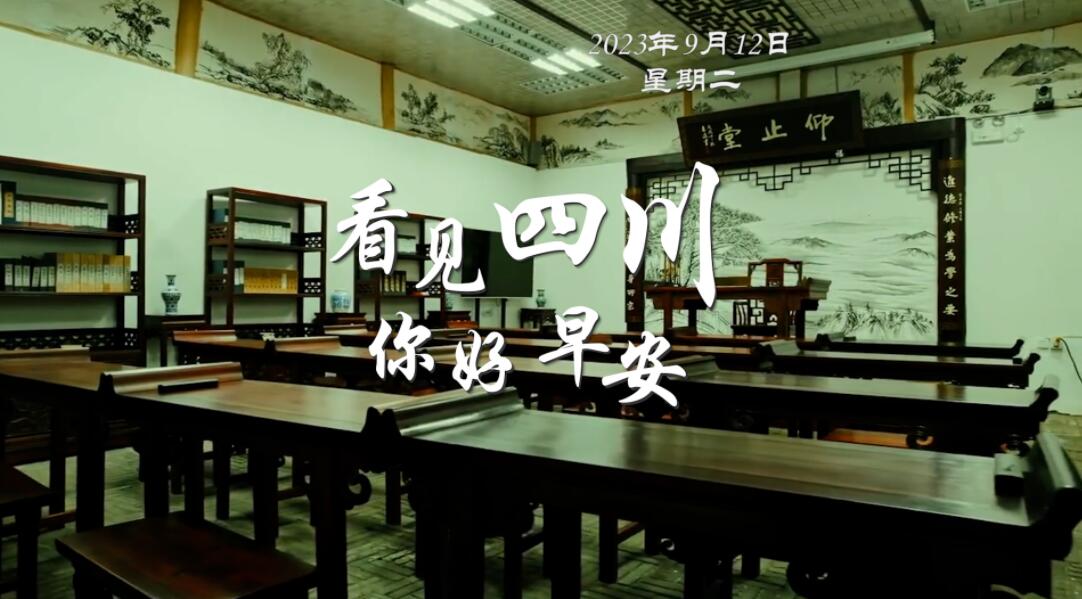 雅安雨城区茶山上的茶树正冒新芽