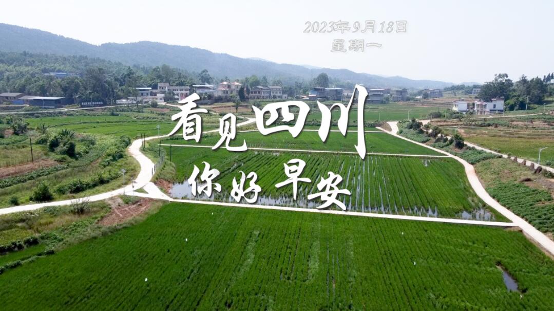 繁花缀满枝头