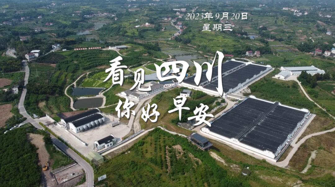 不少游客慕名前来乘坐和踏青赏花