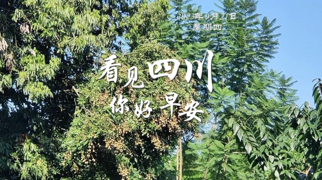 被誉为开往春天的嘉阳蒸汽小火车穿行在