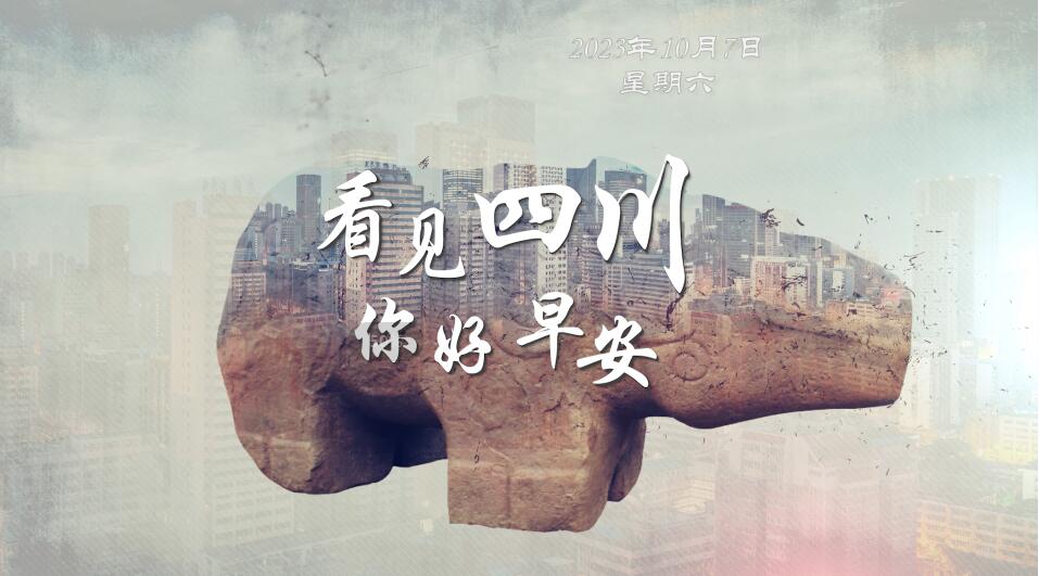 毛茸茸的