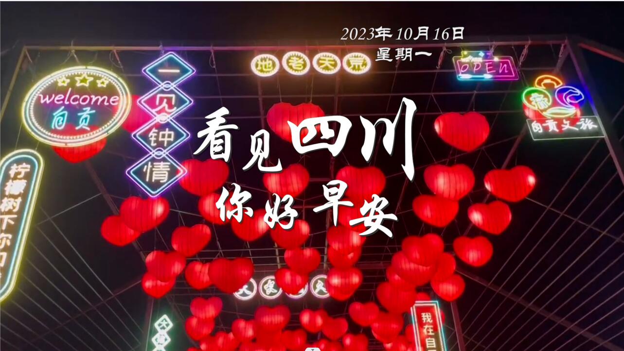 列车与盛放的油菜花构成一幅灵动的春日