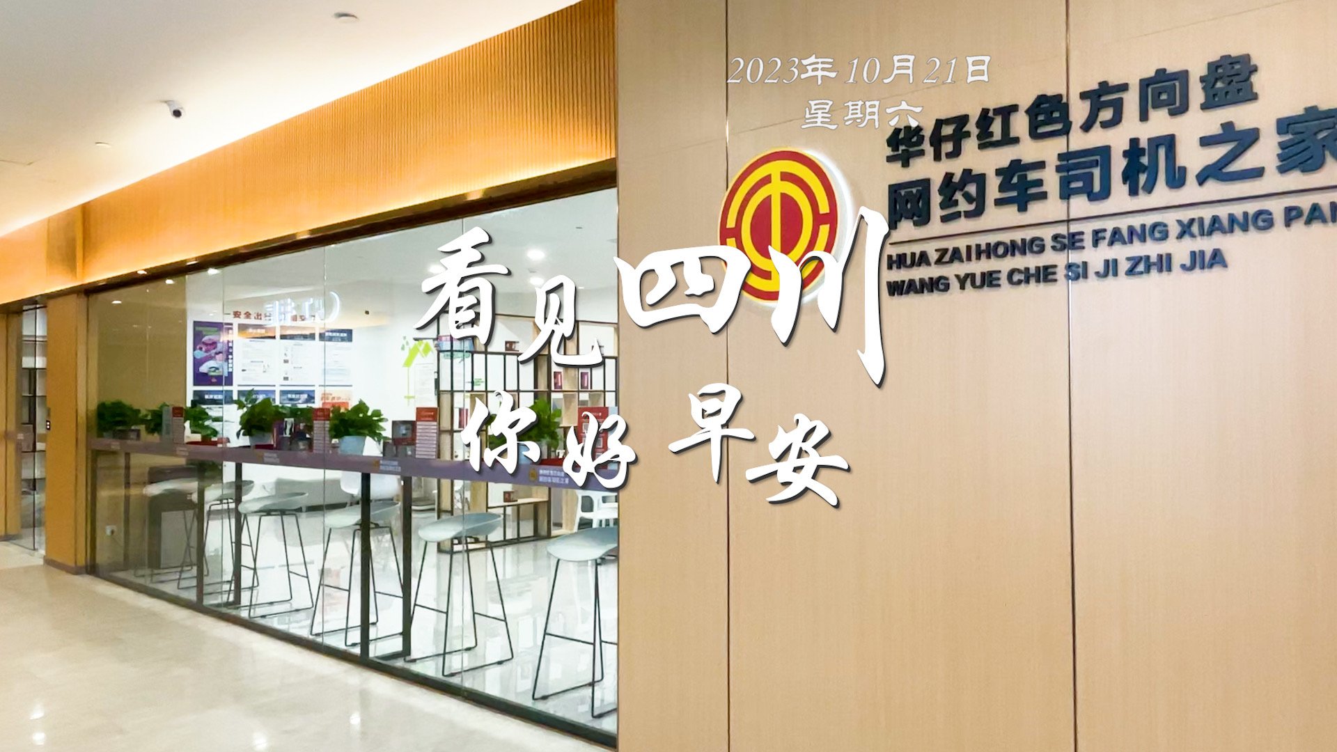 高大的泡桐树缀满钟形花冠