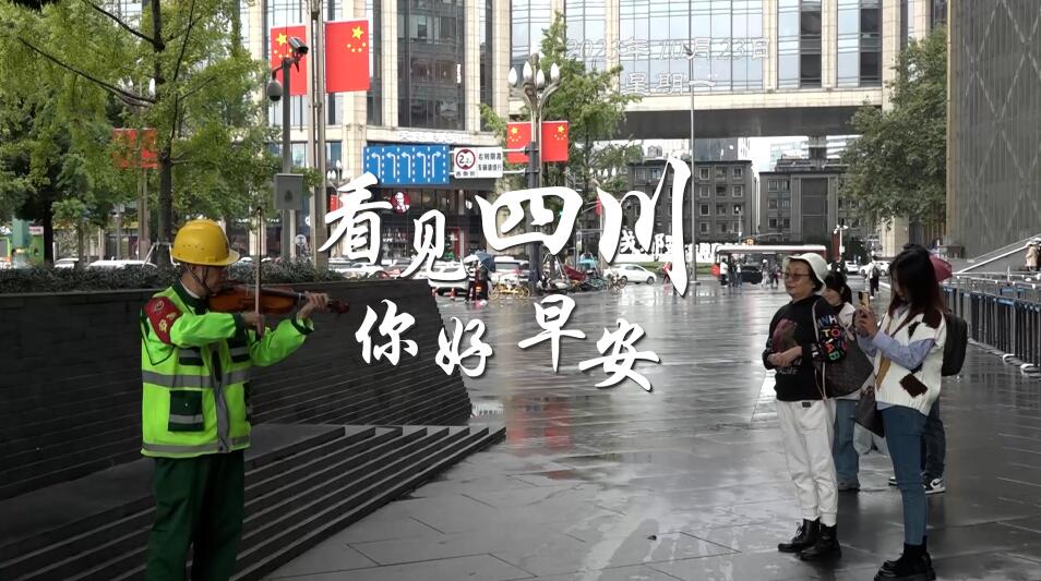 金山村温室大棚里黑褐饱满的羊肚菌破土