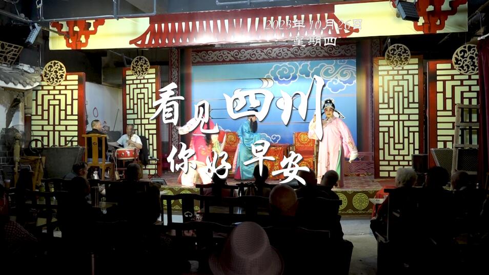 解说平武报恩寺百年玉兰迎来盛花期