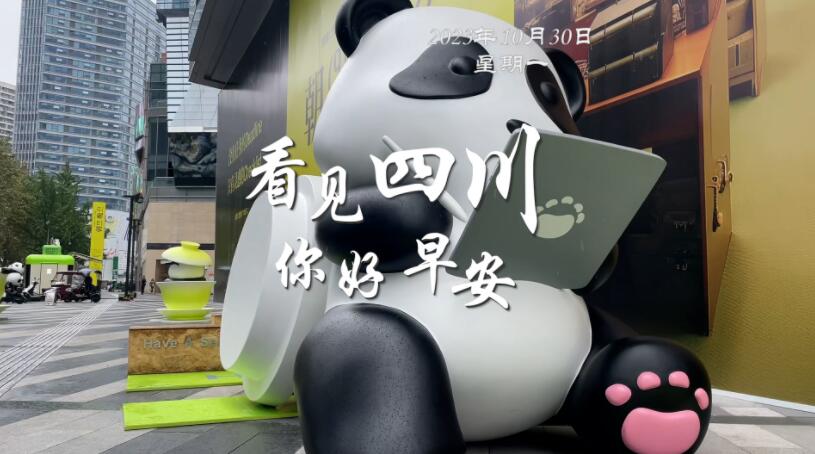 盈盈彩app官网