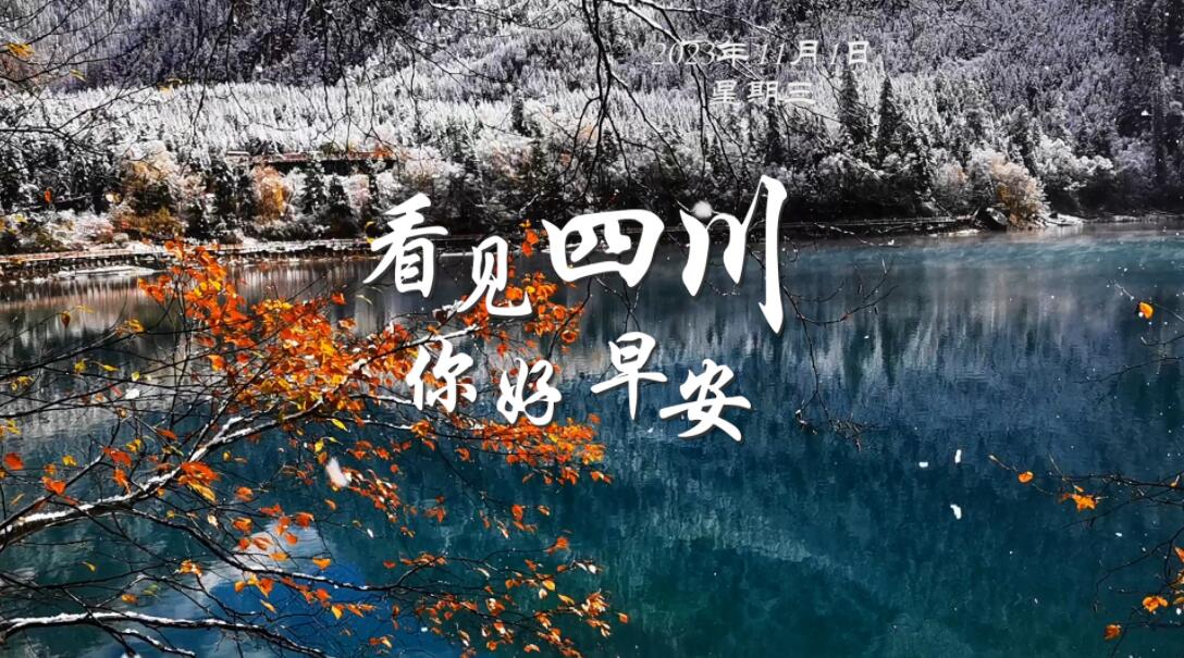 雅安雨城区茶山上的茶树正冒新芽
