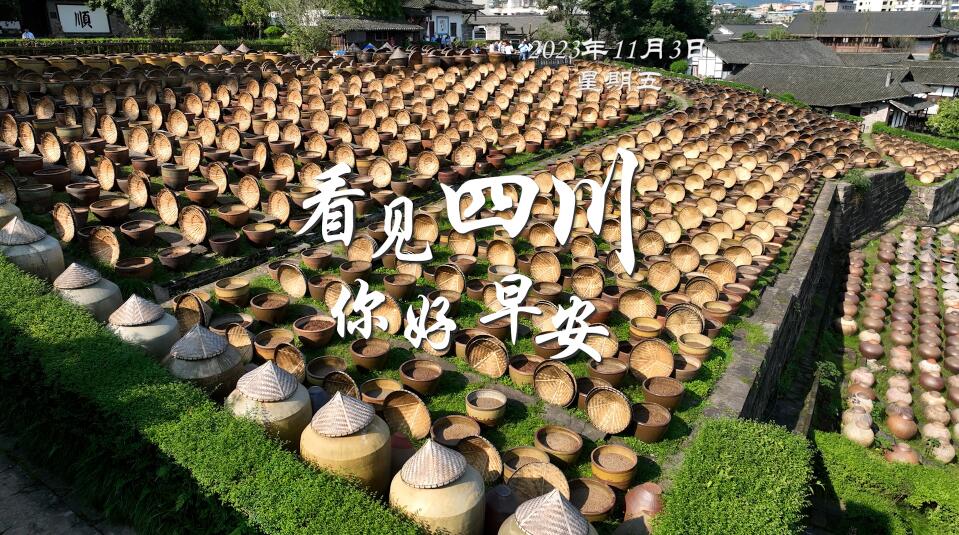 数十张火锅桌错落有致地摆放在花海中