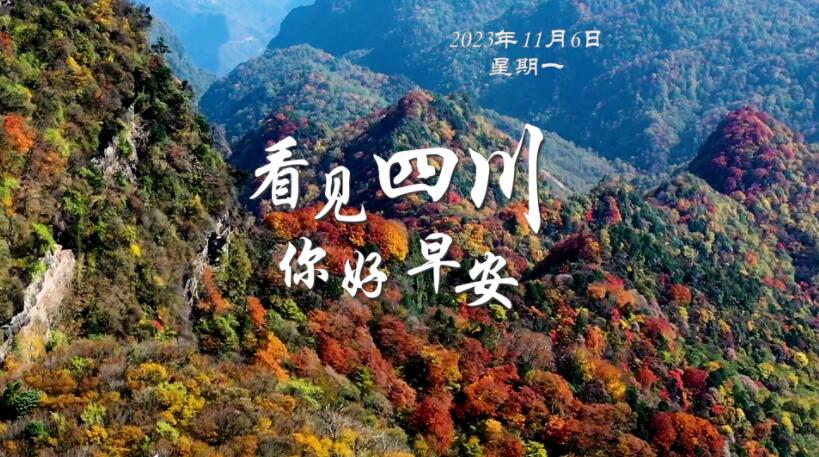 繁花缀满枝头
