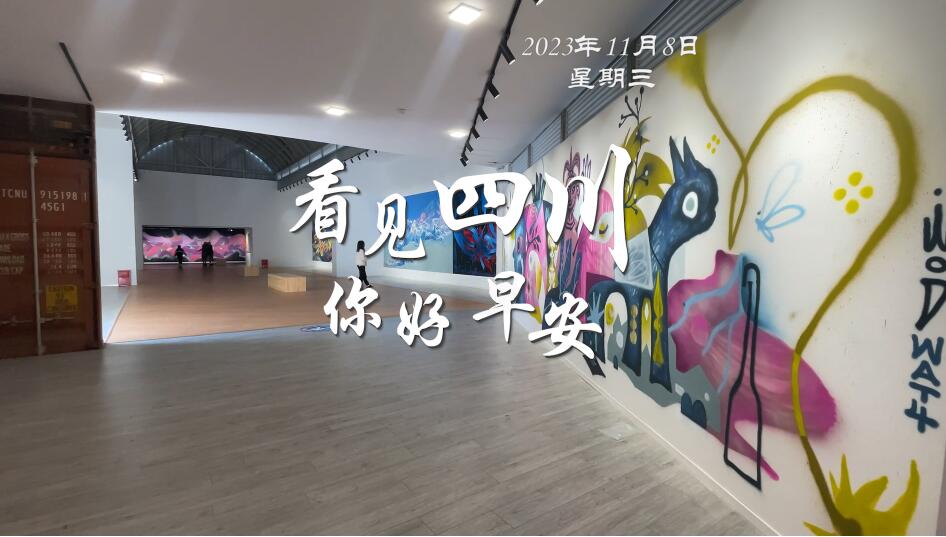 不少游客慕名前来乘坐和踏青赏花