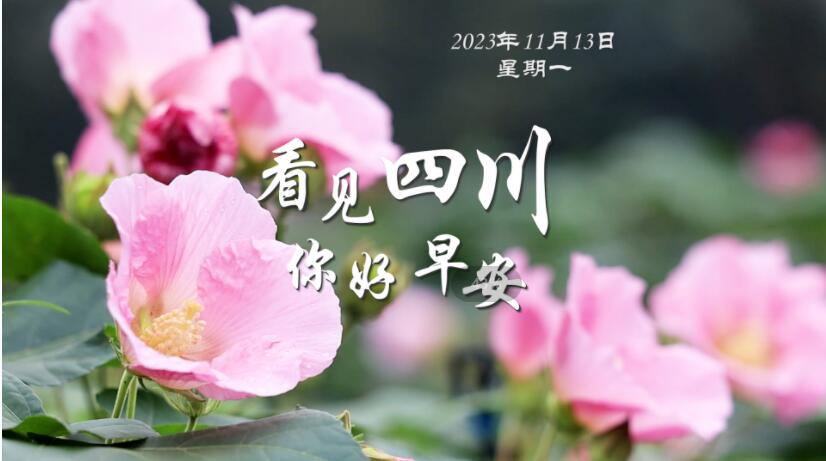 一串串花朵如风铃般相依相偎