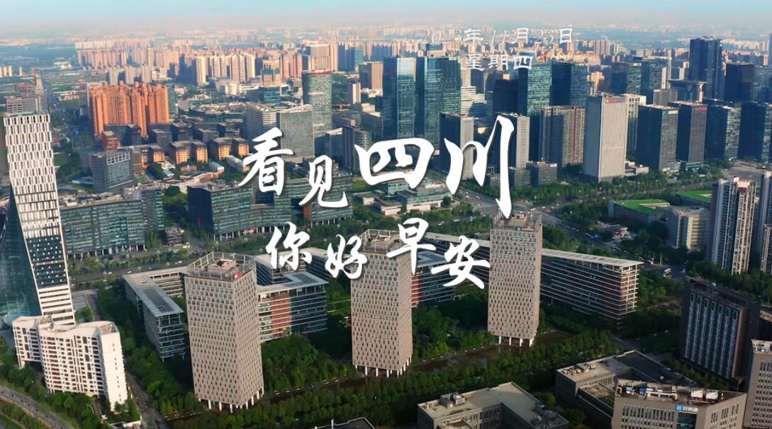 毛茸茸的