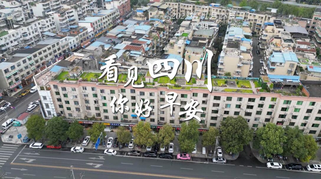 漫山遍野宛若雪海