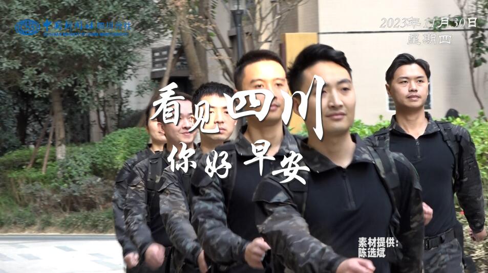 解说乐至县城市主干道的紫叶李花迎春绽