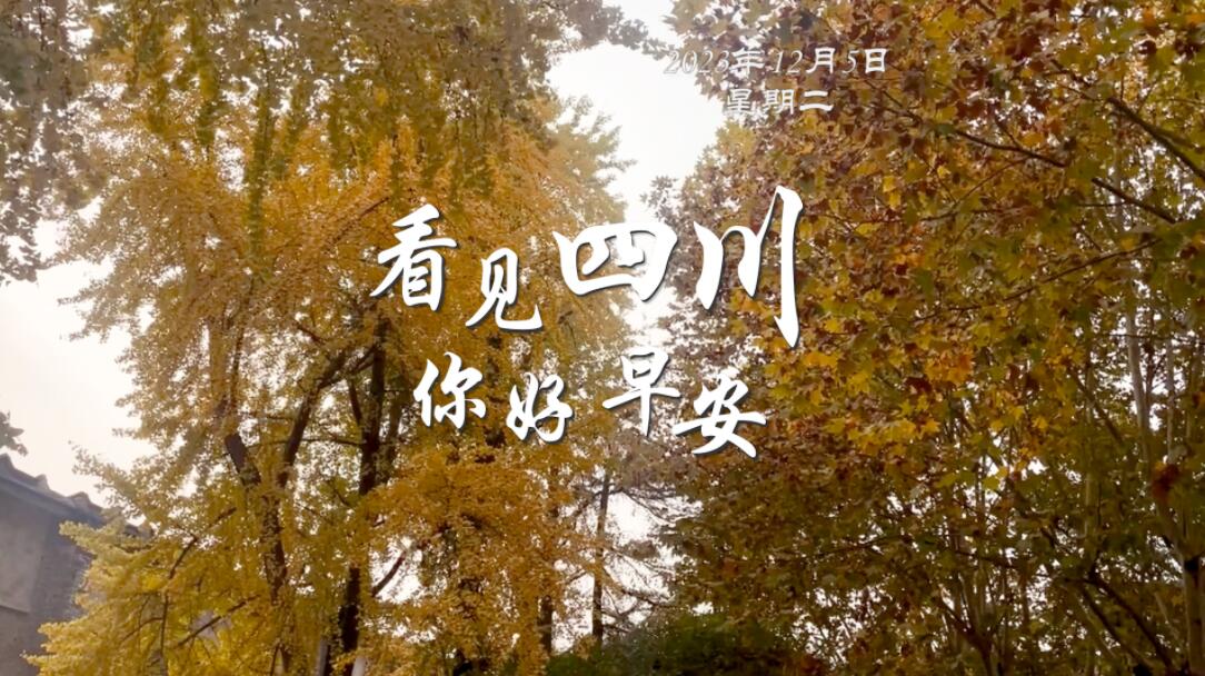 青石板路与古宅院落尽显温润春意