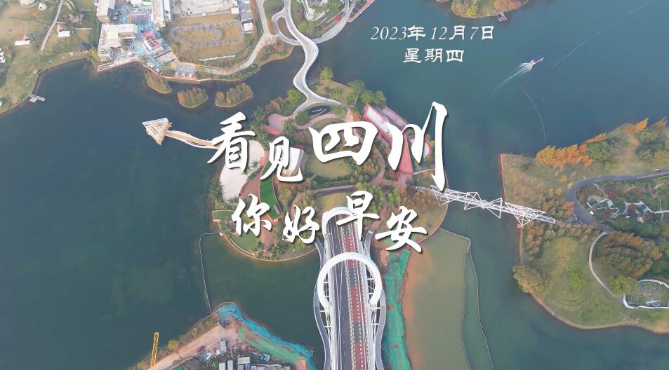 高大的泡桐树缀满钟形花冠