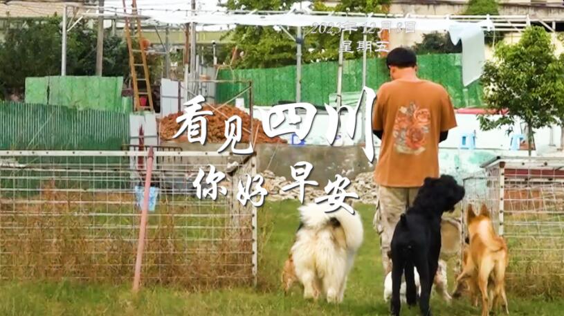 解说你看