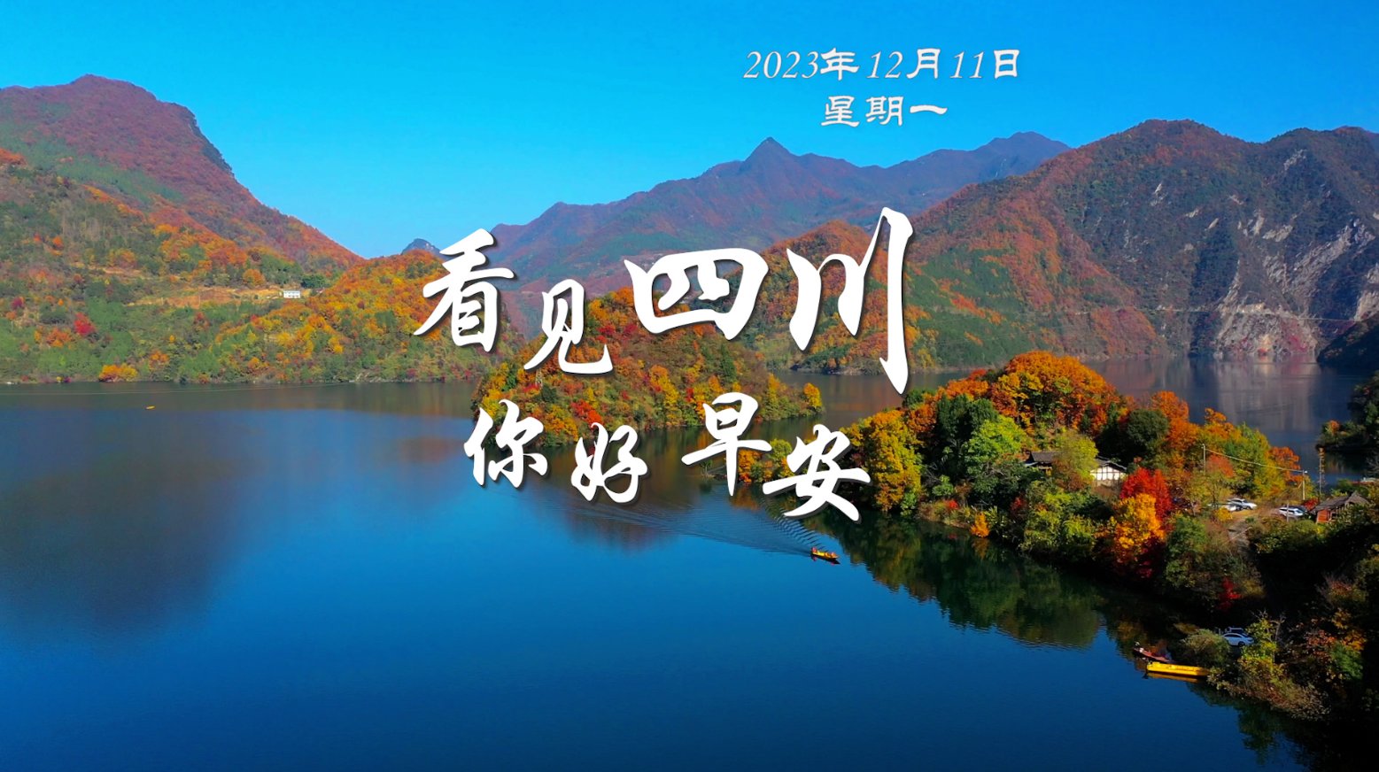 解说平武报恩寺百年玉兰迎来盛花期