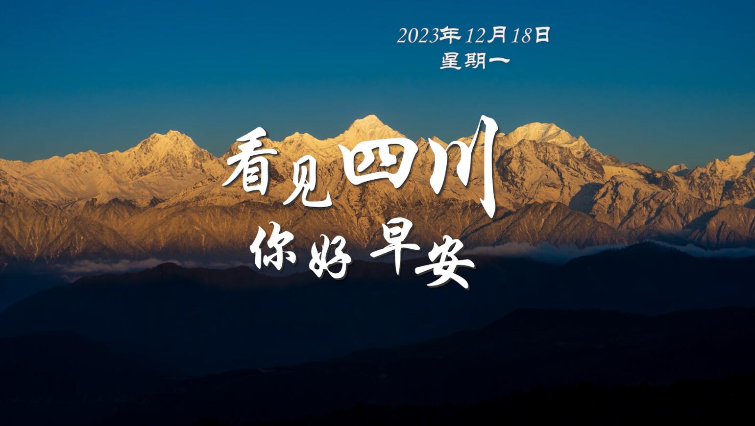 雅安雨城区茶山上的茶树正冒新芽