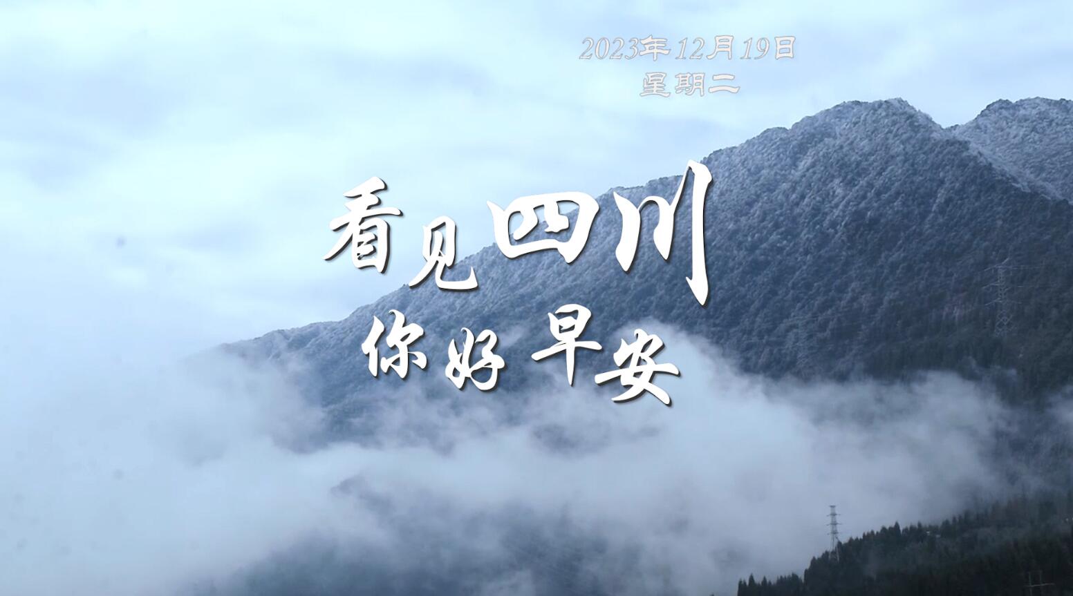 游客在花海中一边欣赏美景