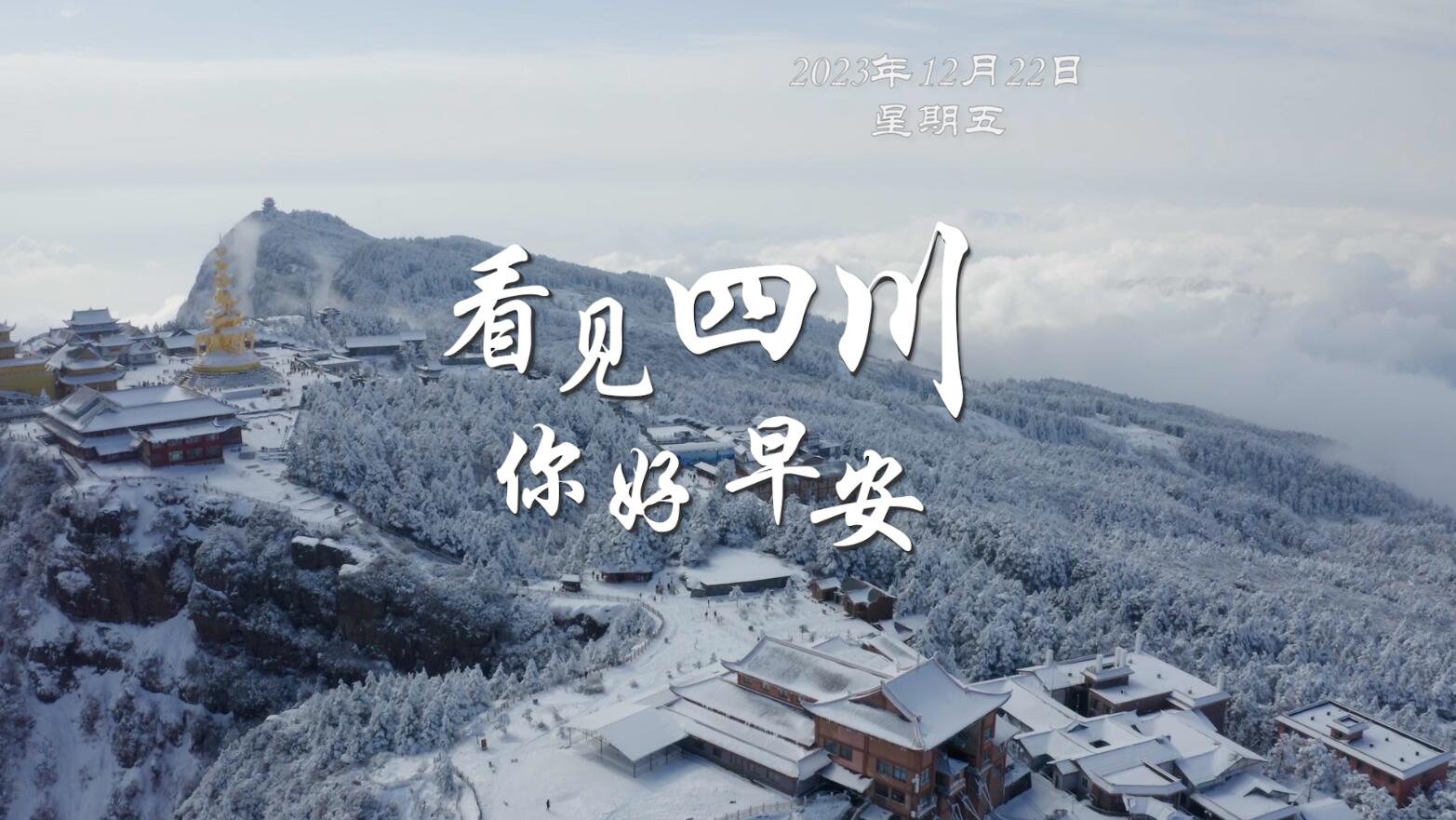 洁白的花朵缀满枝头