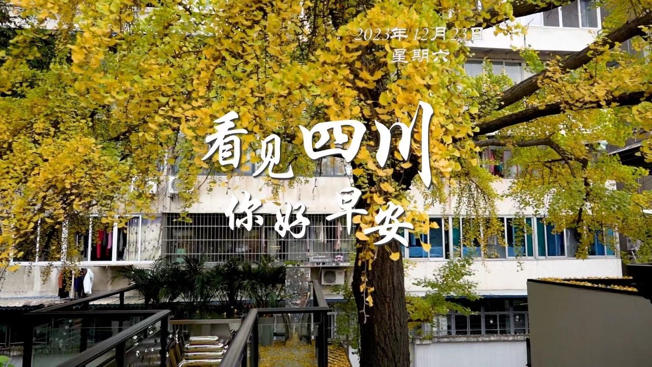 繁花缀满枝头