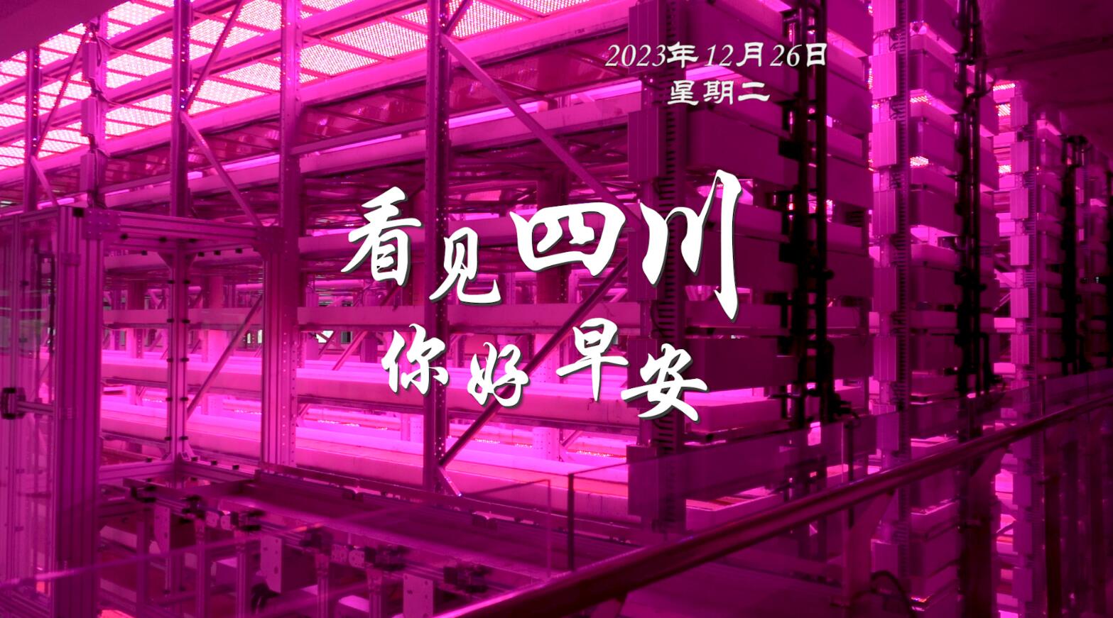 被誉为开往春天的嘉阳蒸汽小火车穿行在