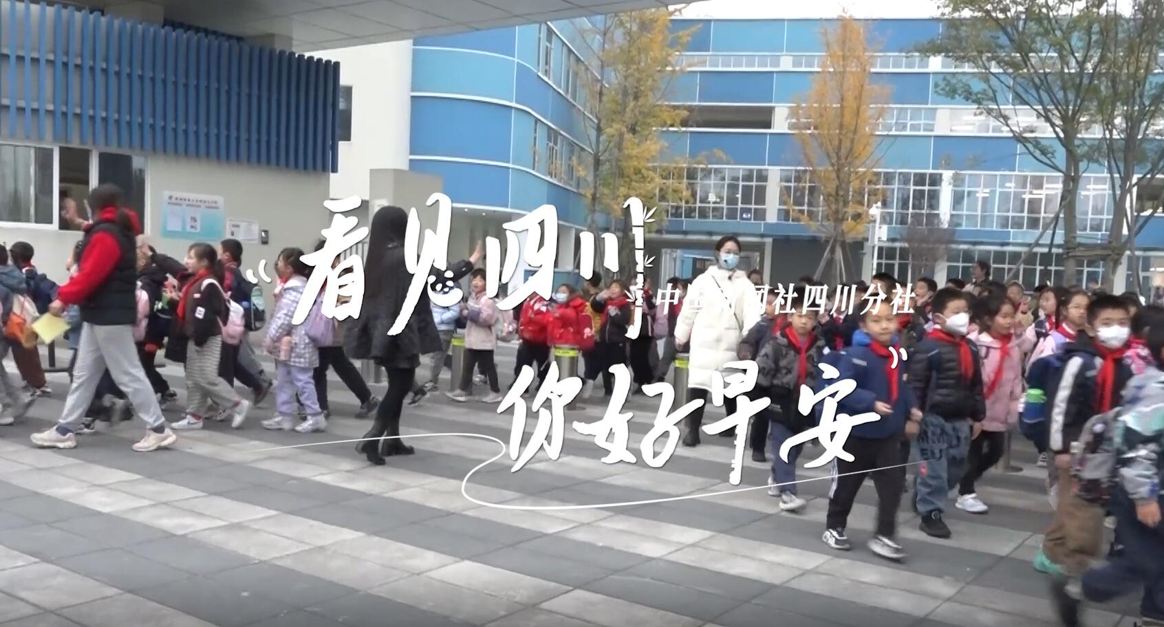 解说雅安市名山区的茶山迎来了最富生机