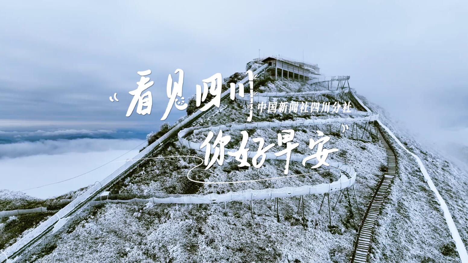 漫山遍野宛若雪海